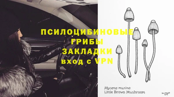 apvp Аркадак