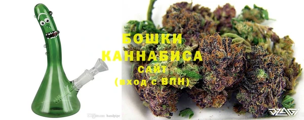 тгк Аша