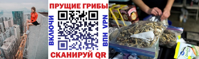 Псилоцибиновые грибы мицелий  Козьмодемьянск 